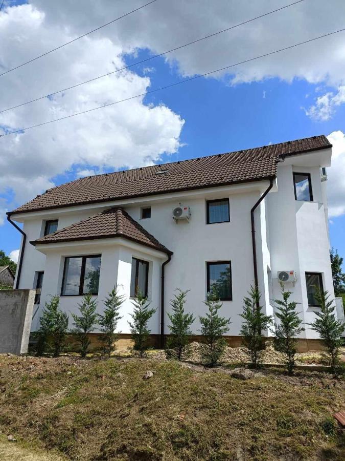 Casa Venus Otel Sînmartin Dış mekan fotoğraf